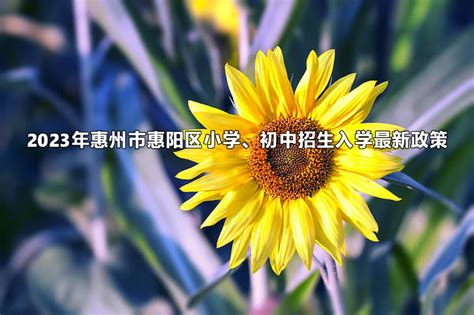 报名指南请收好!2023年广东惠州市惠城区公办中小学积分入学报名6月6日9时开始