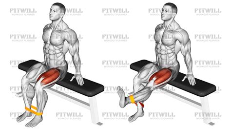 Resistance Band Leg Extension: Exercise Guide, Techniques, Benefits ...