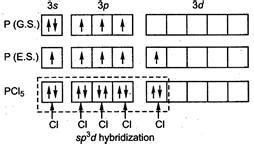 The hybridization involved in PCl5 is - Tardigrade