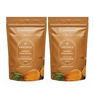 Earthful Honest Plant Protein | 24g Protein/Serving & 4.9g BCCAs | For ...
