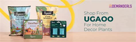 Shop Decorative & Home Decor Plants Online from Ugaoo | demandeals