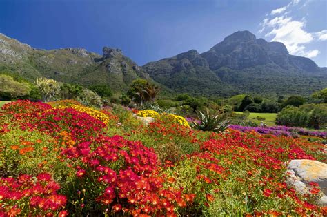 A guide to South Africa's National Botanical Gardens – SANBI