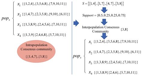 A Consensus Community-Based Spider Wasp Optimization for Dynamic ...