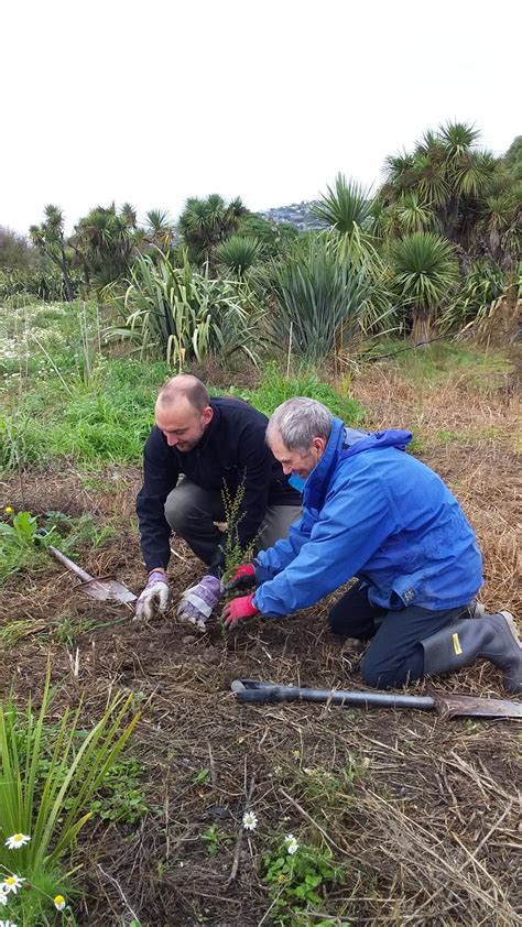 Annual Planting Sunday, 5 May 2024 - Avon-Heathcote Estuary Trust