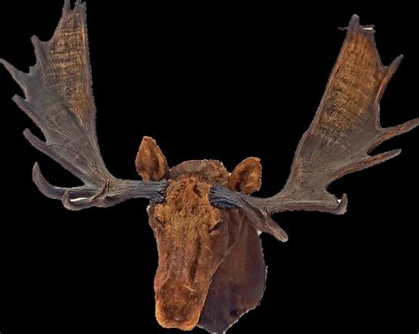 Newcomers Orientation , 1711 Warwick Moose Lane, Newport News, VA, 29 ...