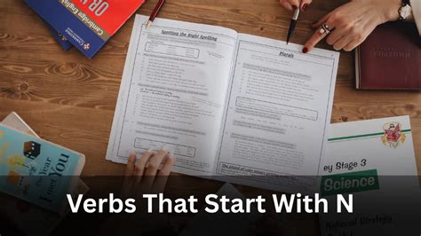 120+ Verbs That Start With N | Meanings And Examples