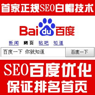 SEO网站优化排名首选 营销网站建设推广 百度优化排名首页_seo营销系列专卖店