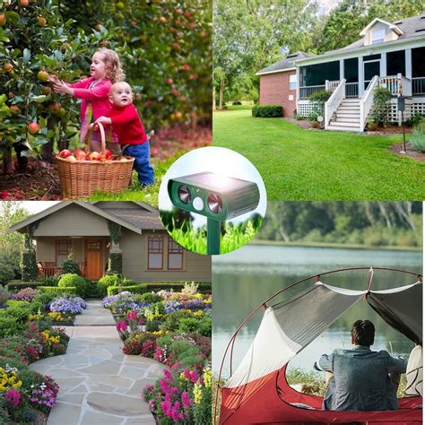 Buy Animal Repeller Ultrasonic, Solar Animal Repellent Outdoor Animal ...