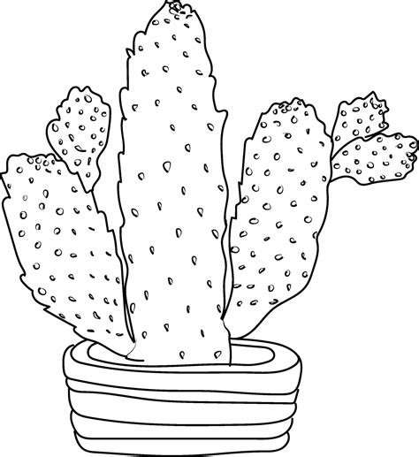 Pencil cactus drawing, pencil sketch cactus drawing, cactus drawing ...