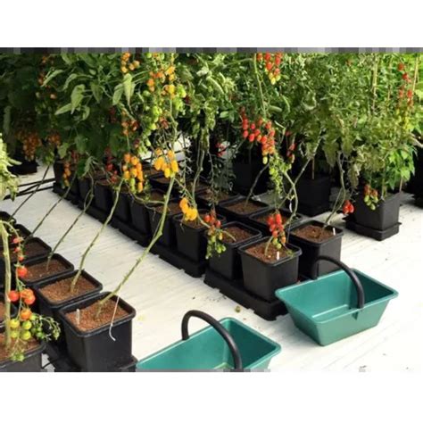 AutoPot easy2grow 8,5L kaufen - Bewässerung