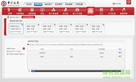 中国银行网上银行电脑版图片预览_绿色资源网