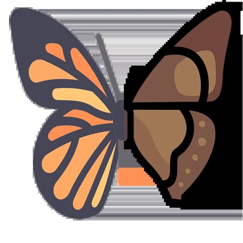Butterfly Head Anatomy : Antennae, eyes, palpi, proboscis - Learn ...