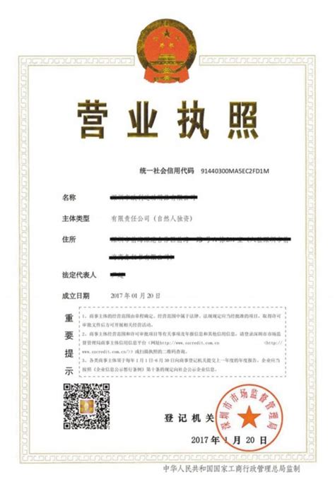 深圳新版营业执照3月1日启用 原版营业执照仍可继续使用--深圳频道--人民网