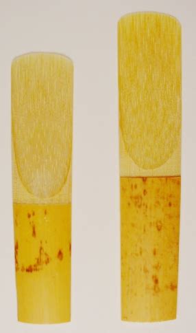 Image result for Different Types of Instruments