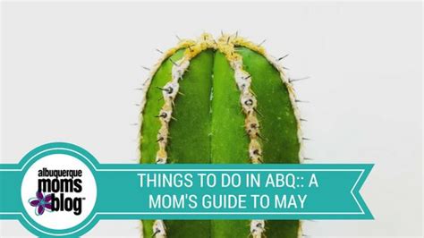 Mom's Pass:  Financial Security: A Mom's Guide