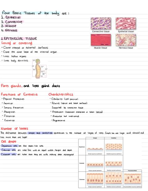 Basic Tissues 的图像结果