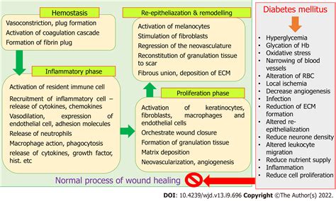 Evolving spectrum of diabetic wound: Mechanistic insights and therapeutic targets
