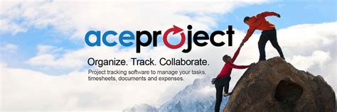 AceProject Tutorial 的图像结果