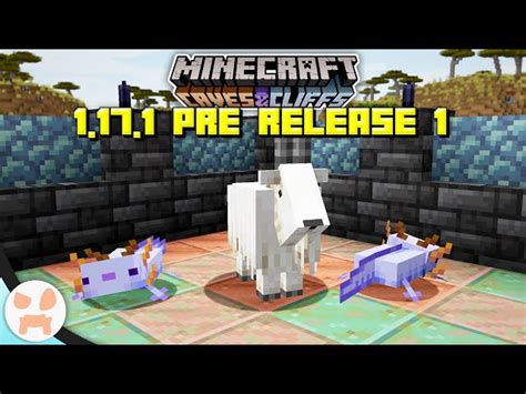 Image result for Java Update Minecraft 1.17