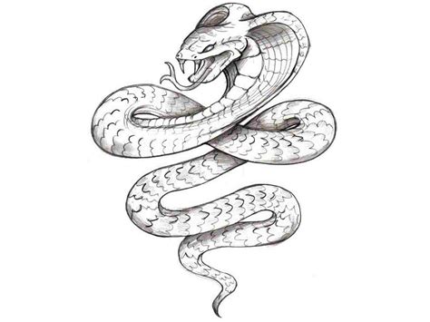 Image result for How to Draw a Python Snake Open Mouth Wide-Open