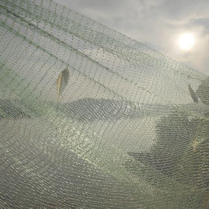 Artist | Waylon James D’souza