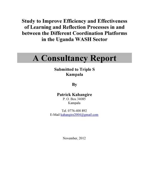 Consulting Paper Example 的图像结果