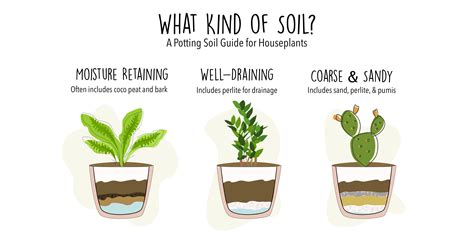 Different Soil Types for Houseplants | Plant care, Potting soil ...