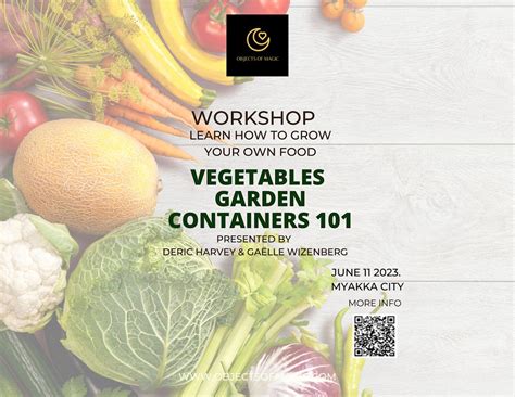 Vegetable Garden Containers 101 - Soil is everything, Sarasota, 11 June ...