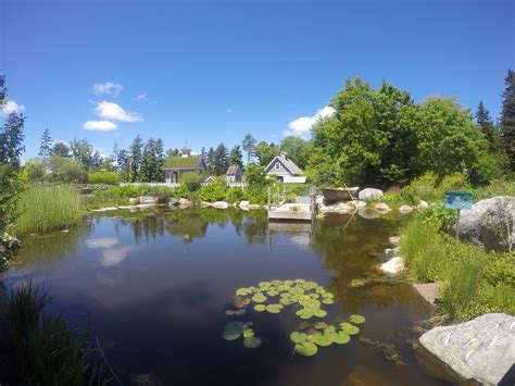 Blueberry Pond Campground Pownal Maine: Camping & Nature