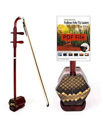 Image result for 2 Stringed Instrument