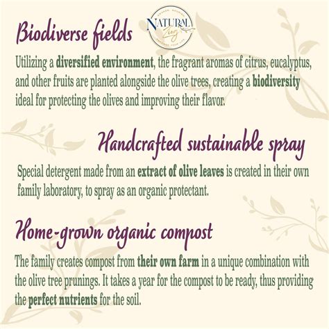 Organic Sun-Dried Peruvian Botija Olives | No salt added | Low Sodium ...