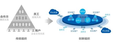 管理学角度看海尔集团的组织结构图_word文档免费下载_文档大全