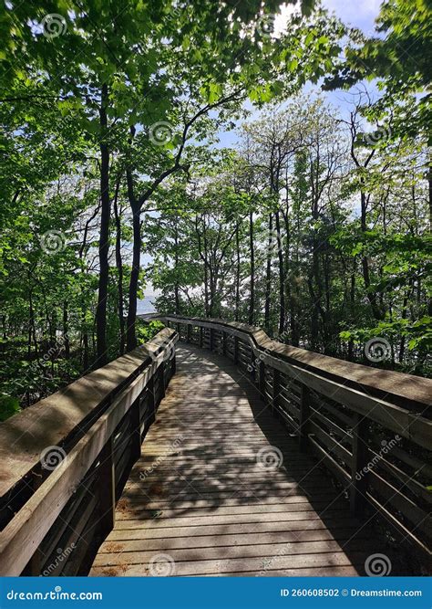 Camino al cielo foto de archivo. Imagen de camino, pista - 260608502