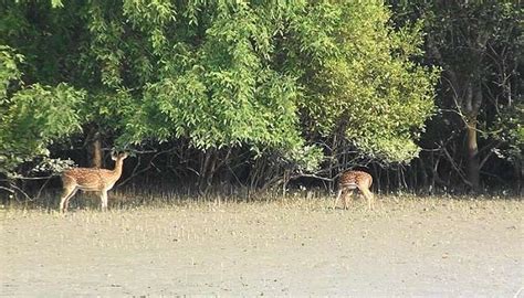 Kishtwar National Park Is A Paradise For Nature Lovers To Visit In 2026