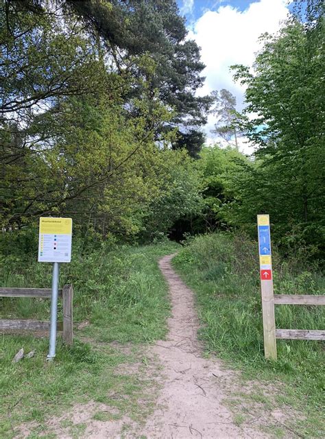 MOUNTAINBIKE SPÅR (2026) All You Need to Know BEFORE You Go (with ...