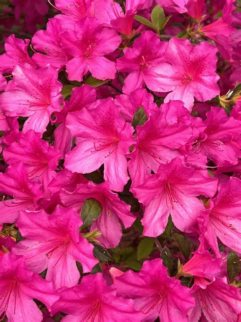 Mill Point Park | Town of James Island, SC
