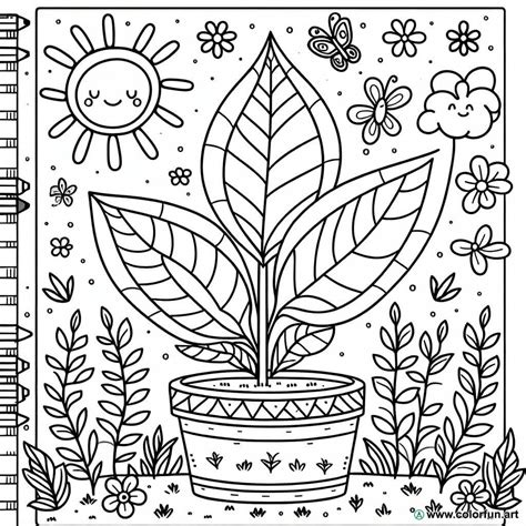 Plant Coloring Pages Printable [2025]