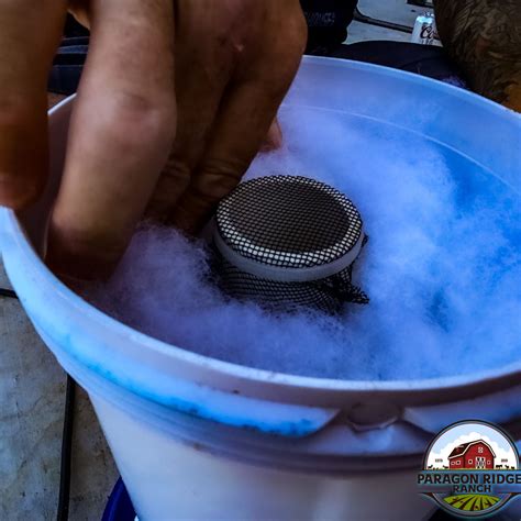 Image result for DIY Cyclone Pool Filter Cleaner