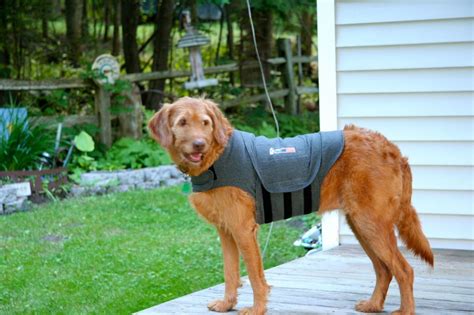 Thundershirt - Anti-Anxiety Vest for Dogs - XXS-XXL