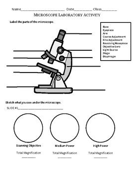 Microscope Lab Activity 的图像结果