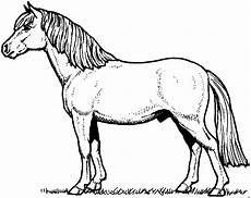 malvorlagen tiere gratis schoenes pony ausmalbild malvorlage tiere malvorlagen tiere gratis schoenes pony ausmalbild malvorlage tiere