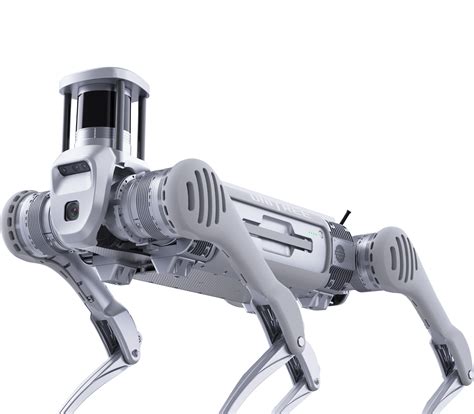 UniTree B2 Robot 的图像结果