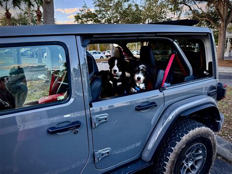 Problem pets | Jeep Wrangler Forums (JL / JLU) -- Rubicon, 4xe, 392, Sahara, Sport ...