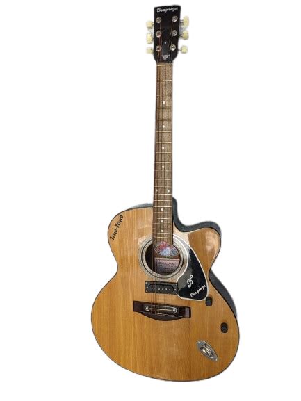 Truetone Classic Electro Acoustic Guitar – Braganzas