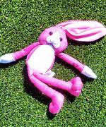 Image result for Easter Bunny Mascot