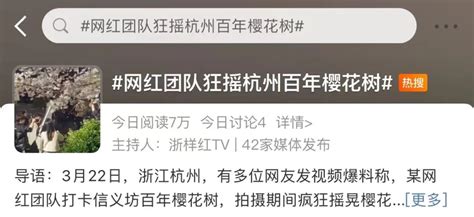 狂摇百年樱花树，网红团队手写道歉信！_北京日报网