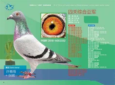 2018年“中国杯”信鸽职业联赛总结：百鸽园大丰收，威力很亮眼，开创最惊艳！