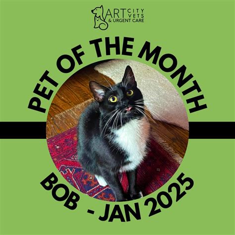 Art City Vets & Urgent Care (@artcityvets) • Instagram photos and videos