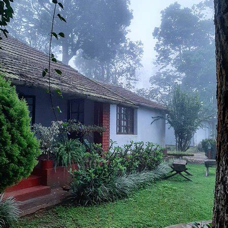 The Nilgiris District Tourism (2024): All You Need to Know Before You Go