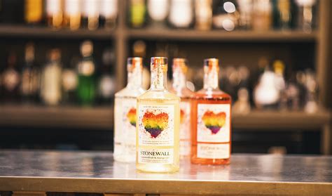 Mixing Up DRAGSTAR MARTINIS WITH STONEWALL GIN | Vita Student